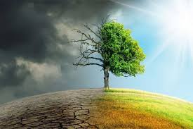 Ilustrasi perubahan iklim