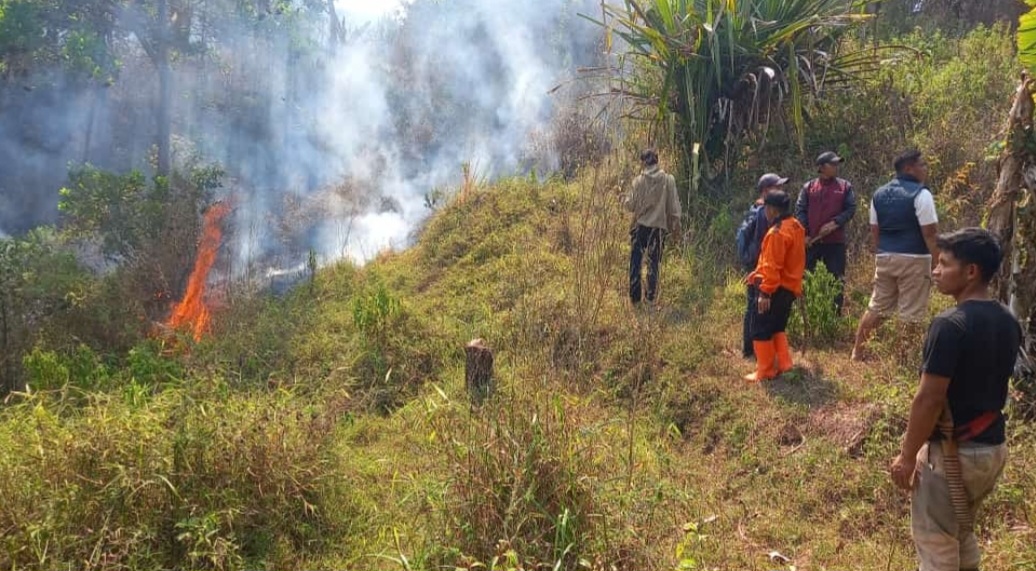 Kawasan Hutan Gunung Beser Terbakar