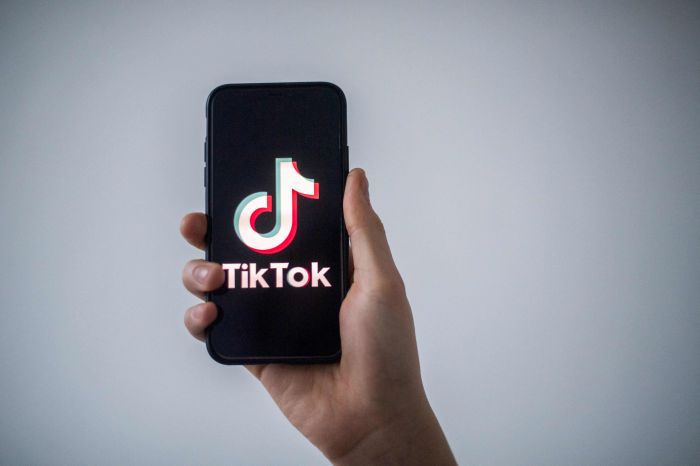 Pemerintah Dituntut Berani dan Tegas Tertibkan TikTok Shop