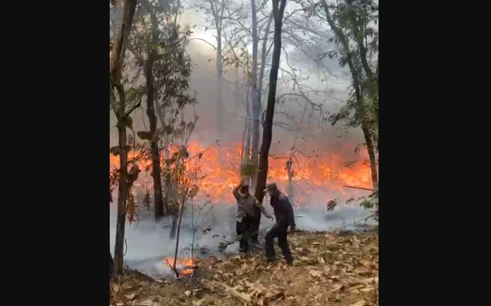 Petugas berusaha memadamkan kebakaran di TPA Putri Cempo