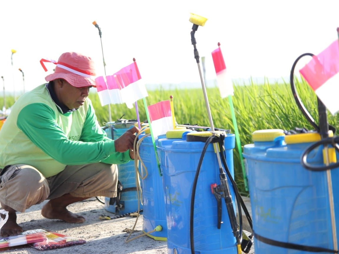 Syngenta Latih Belasan Ribu Petani Tingkatkan Produksi Tanaman