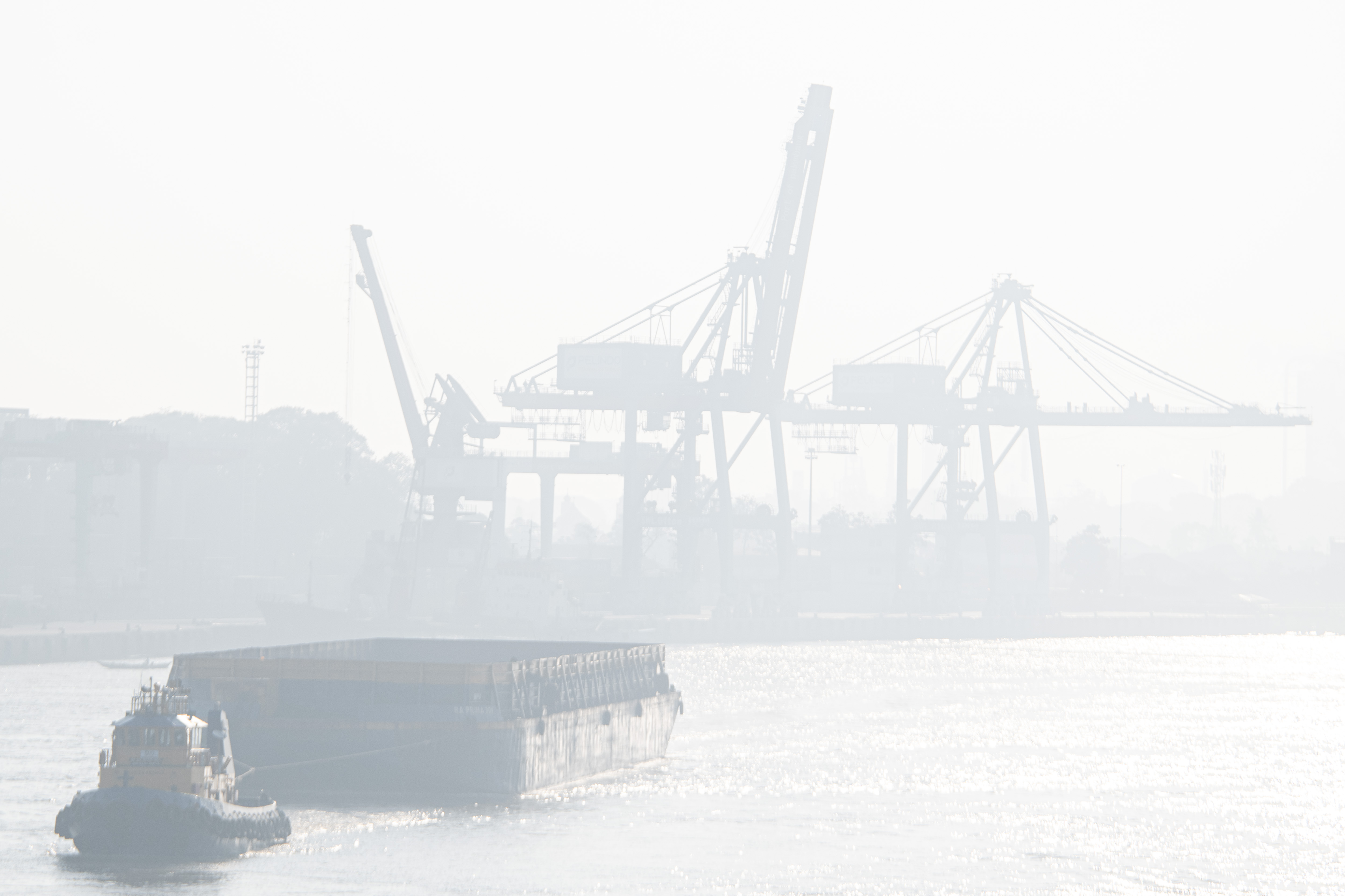 Asap Karhutla Masuk Palembang, Warga Diimbau Pakai Masker