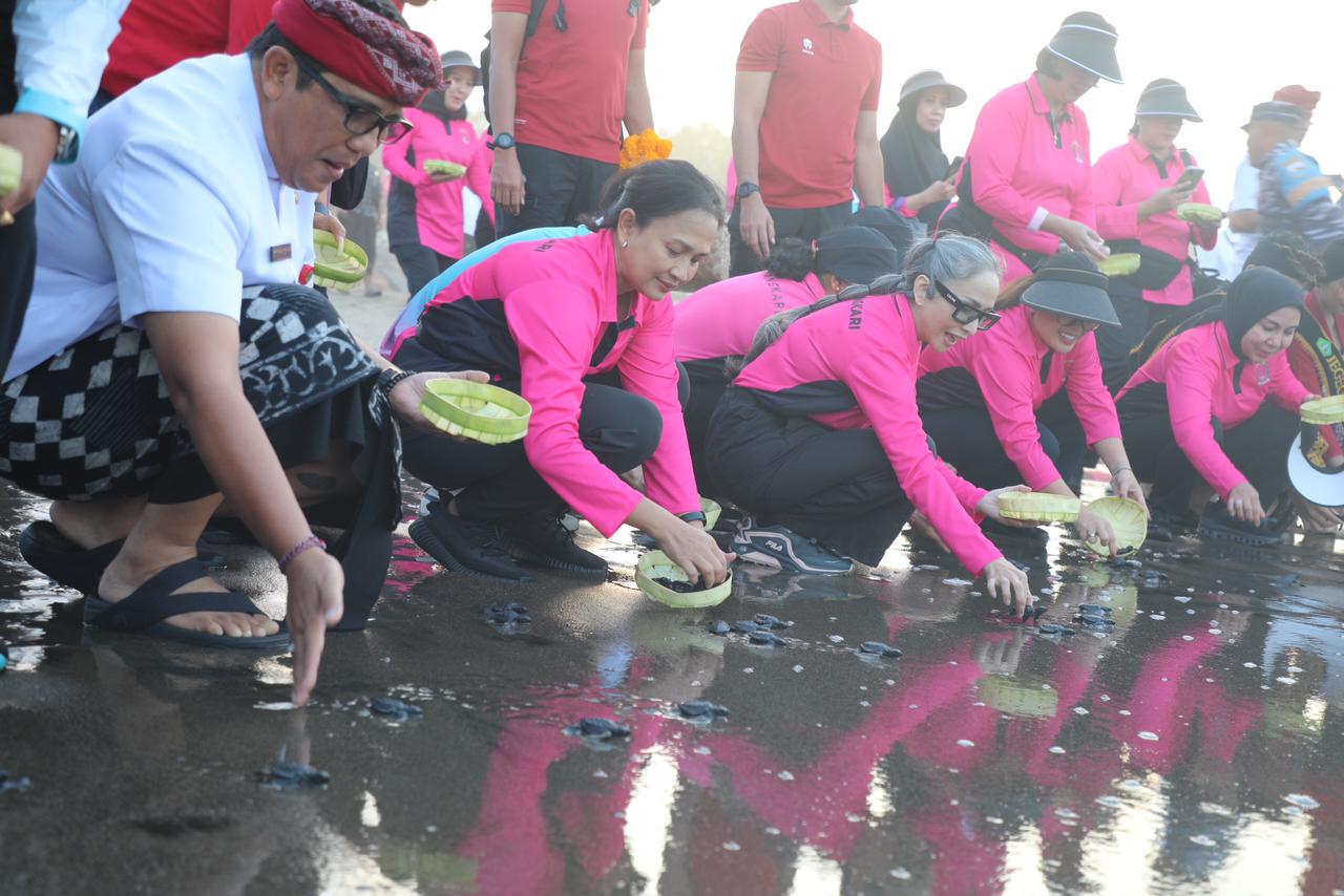 Pelepasan ratusan tukik di Tabanan, Bali dipimpin Ketua Umum Bhayangkara Indonesia, Kamis (7/9) sore.