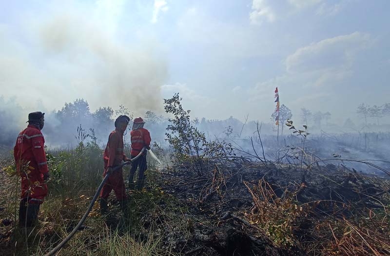 Titik Panas Karhutla Sumatra Tembus 853 Titik