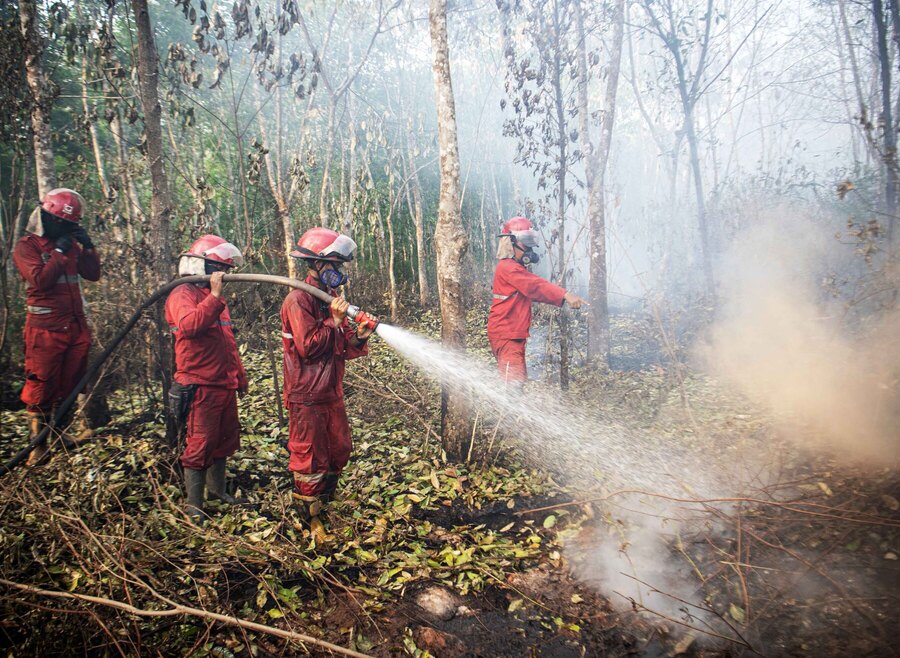 Pemadaman kebakaran di lahan gambut, di Sumatera Selatan.