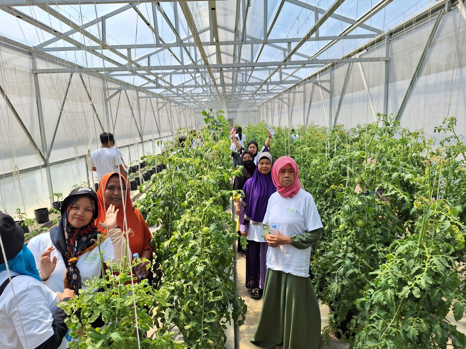 PNM ajak studi banding nasabah Mekaar studi banding ke perkebunan hotikultura, Cijeruk, Bogor.