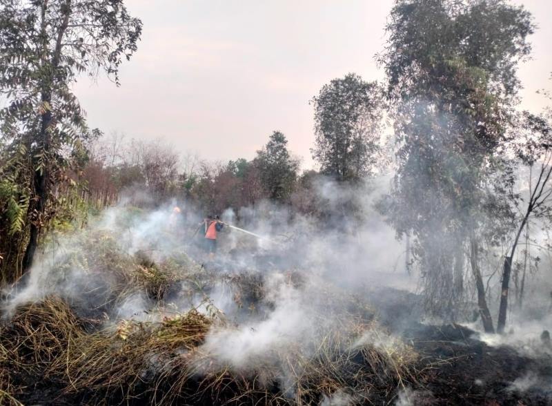 BPBD Kalimantan Selatan mengungkapkan karhutla bergeser dari barat menuju timur Pegunungan Meratus.