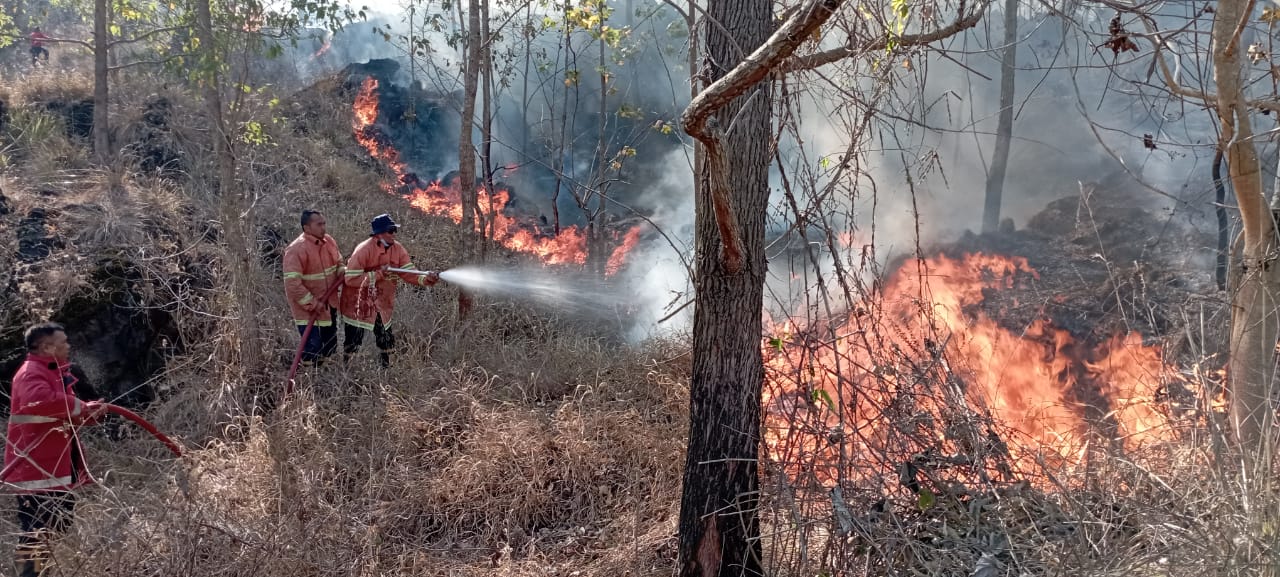 Pemadaman hutan dan lahan yang terbakar di Bangli, Bali