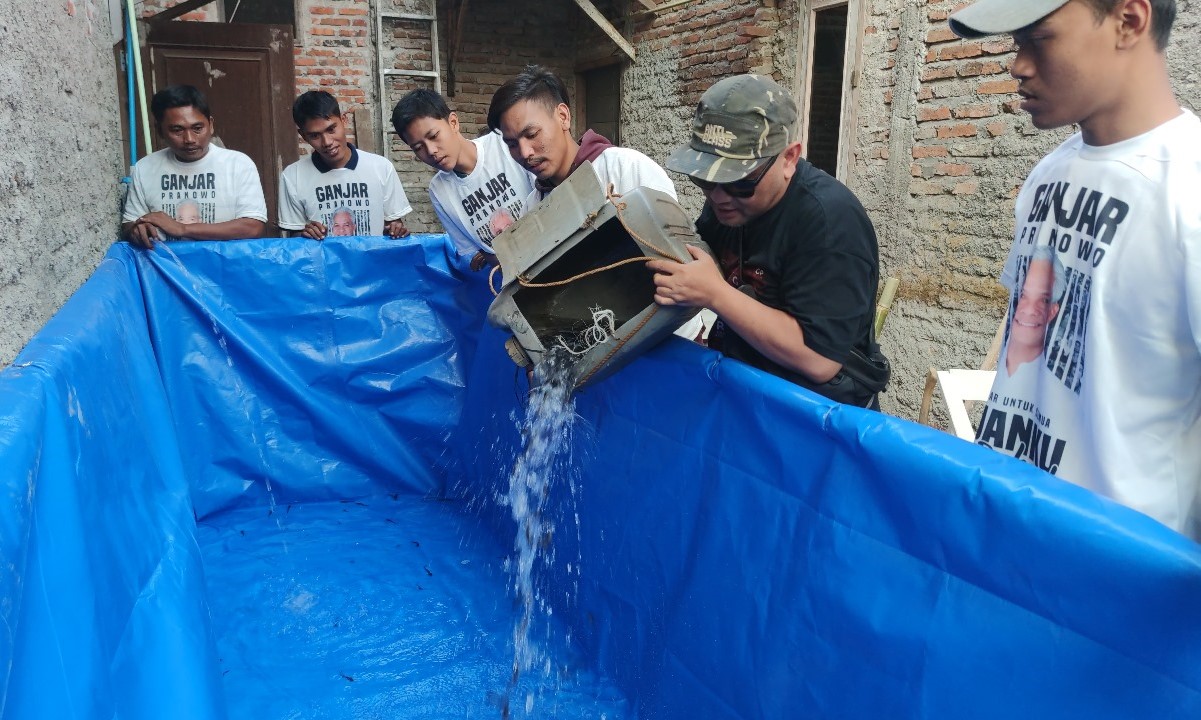 Pelatihan budi daya ikan lele