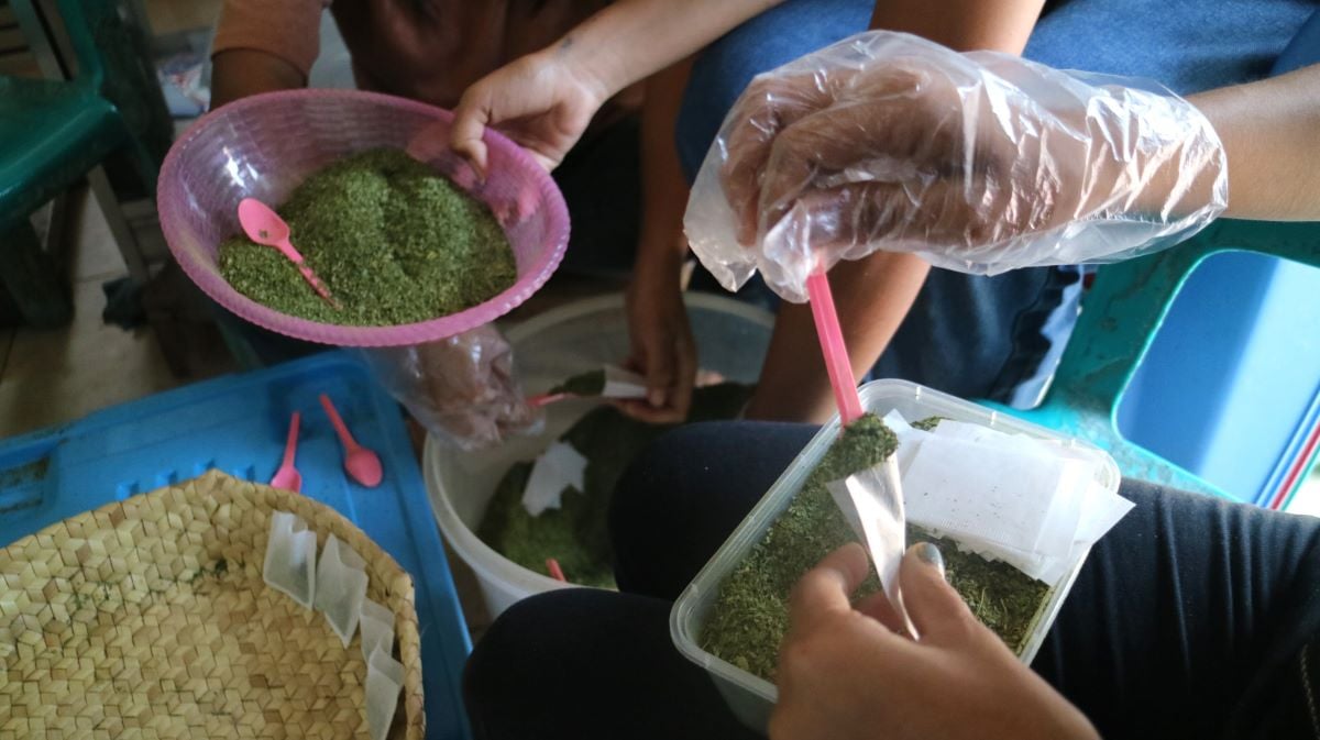 UKM Mawar berhasil mandiri melalui teh daun kelor. UKM ini merupakan salah satu binana Pertamina Patra Niaga.