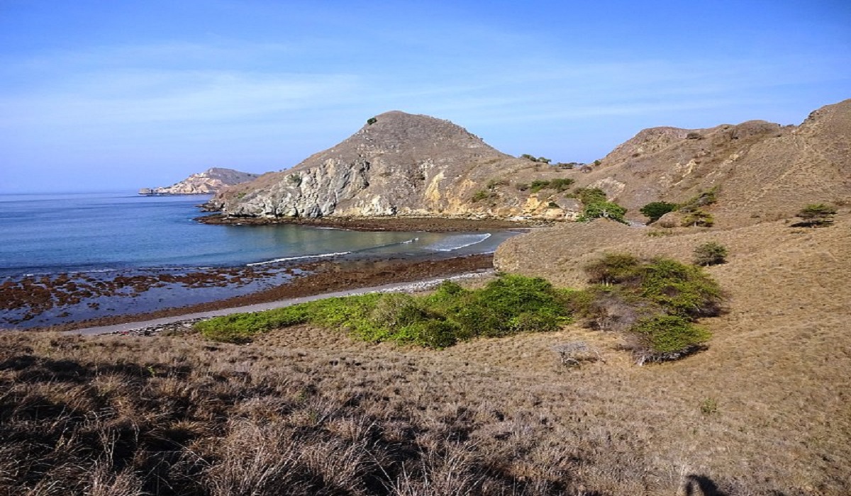 Ilustrasi lagu daerah NTT