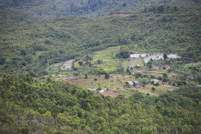 HUTAN TAMAN BURU REMPANG BATAM.