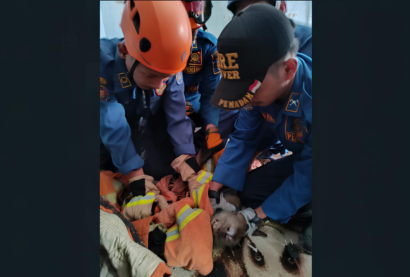 Petugas Damkar Kota Depok mengamankan monyet yang serang dua anak kecil hingga luka parah.