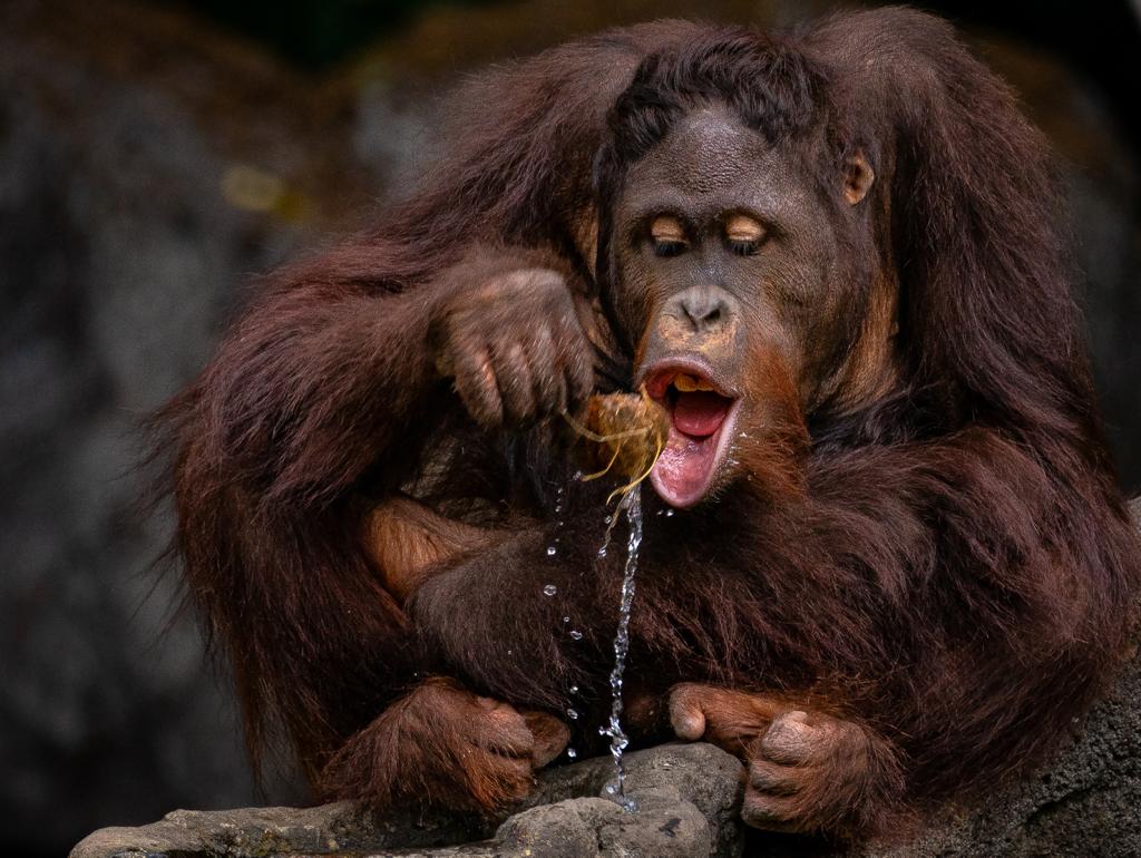 Pemenang Utama Roadshow Karya Gerdie Hutomo Nurhadi.