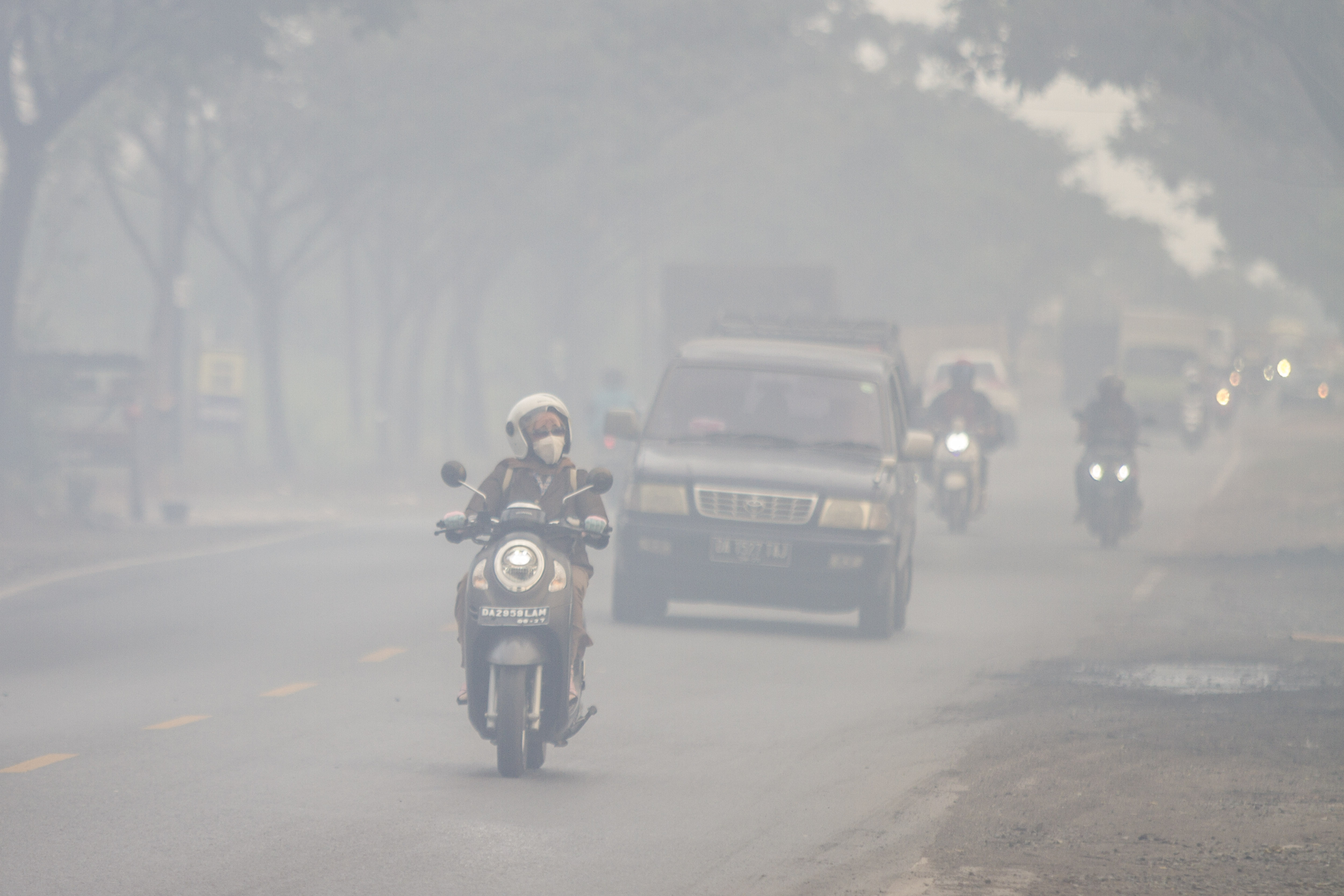 Darurat Kabut Asap, Sekolah Daring di Kalsel Diperluas