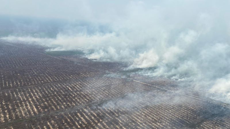 Foto udara karhutla di Desa Jungkal, Pampangan, Kabupaten Ogan Komering Ilir, Sumatra Selatan.