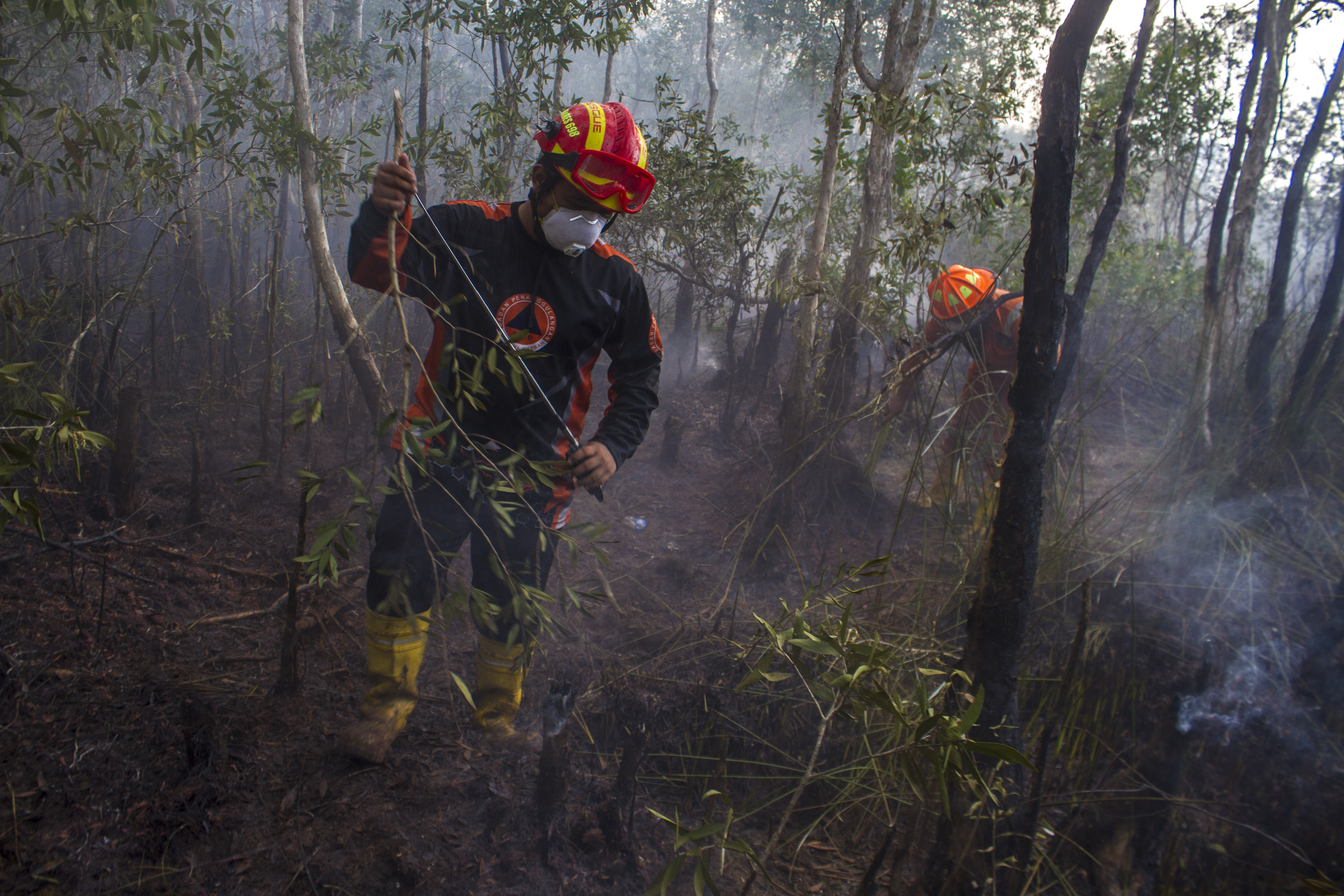 KLHK Pantau Langsung Penanganan Darurat Karhutla Kalsel-Kalteng