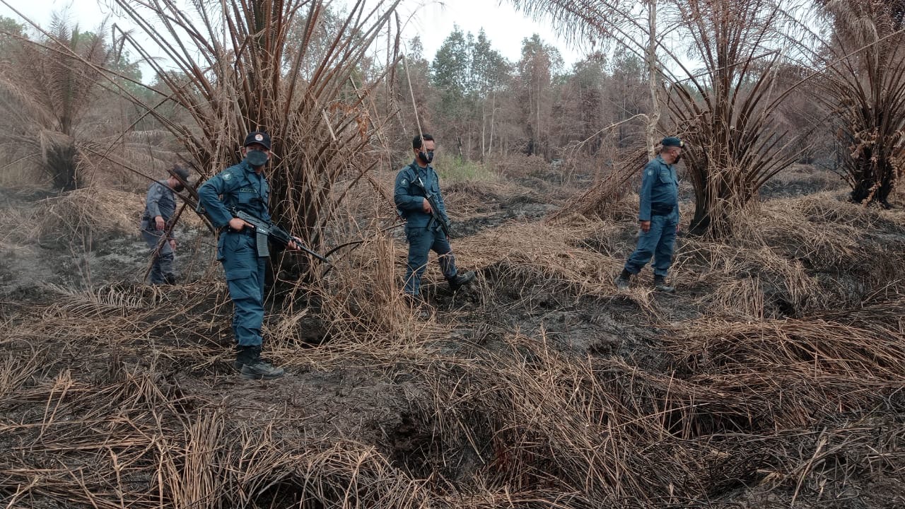 Polda Sumsel Selidiki 6 Perusahaan yang Diduga Sebabkan Karhutla.