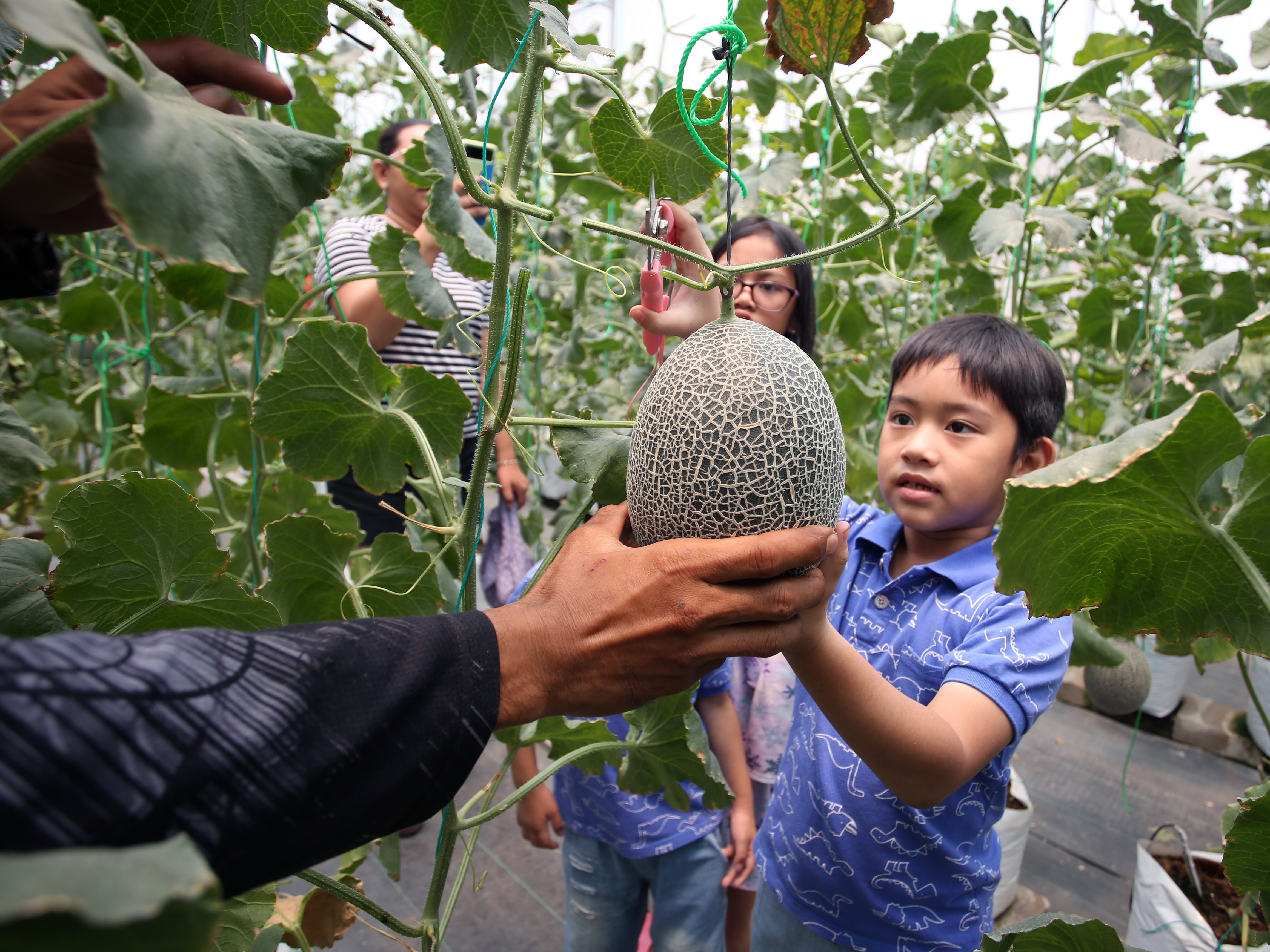 Persiapkan Infrastruktur dan Layanan Berkualitas Dukung Pariwisata Berkelanjutan