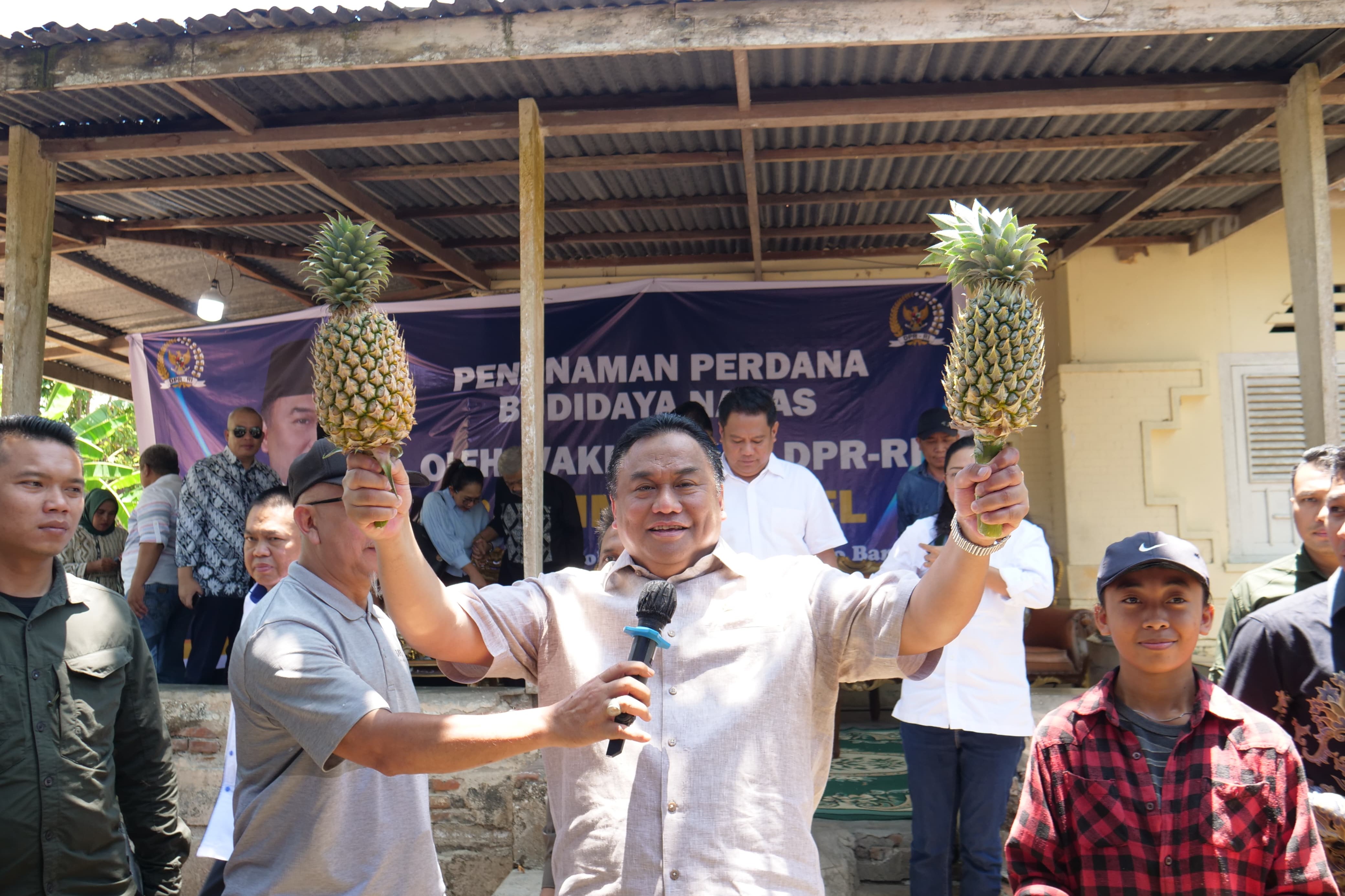 Wakil Ketua DPR Bidang Korinbang, Rachmat Gobel, mencanangkan Gerakan Menanam Nanas di Gorontalo. 