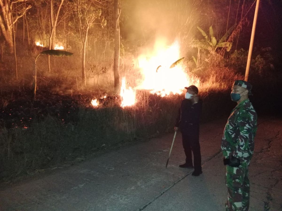 Cagar alam Gunung Papandayan kembali kebakaran akibat sisa bara api dari batang pohon yang masih menyala.