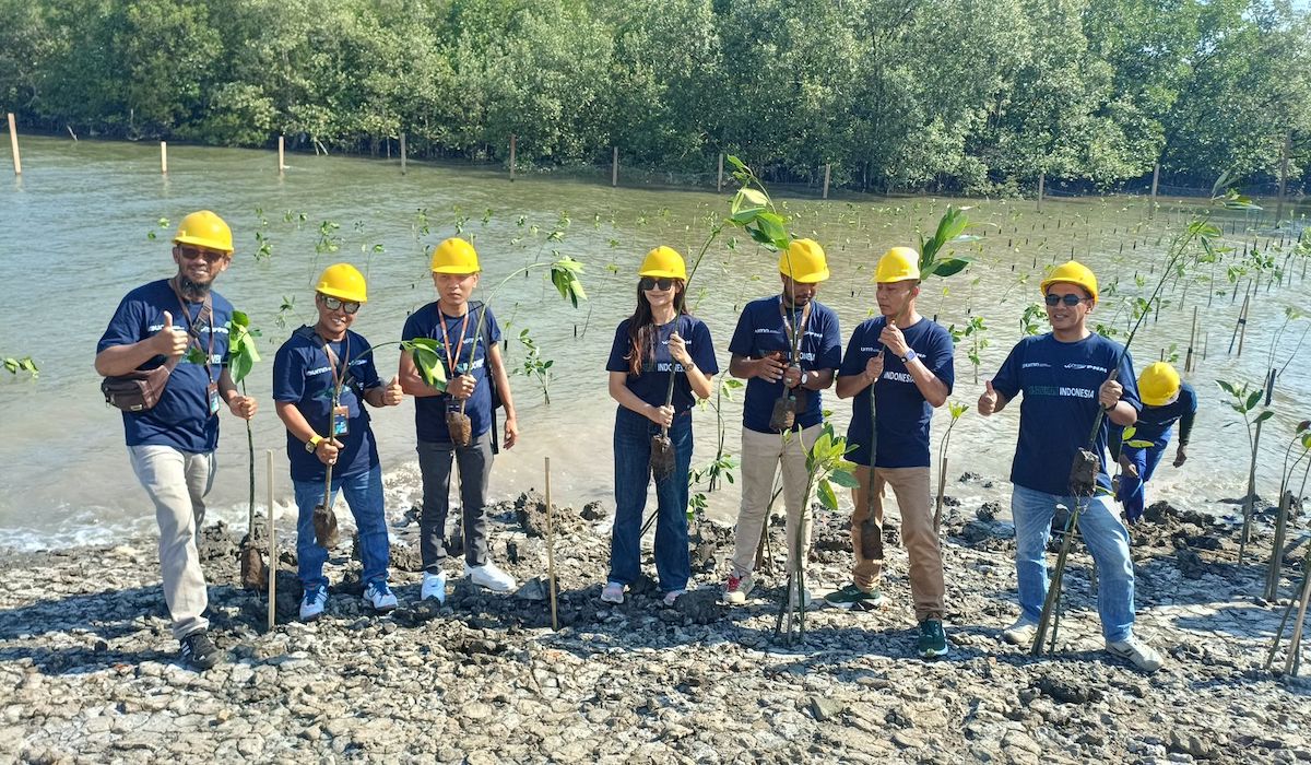 Penanaman Mangrove PNM-Waskita Beton di Kalimantan Timur 