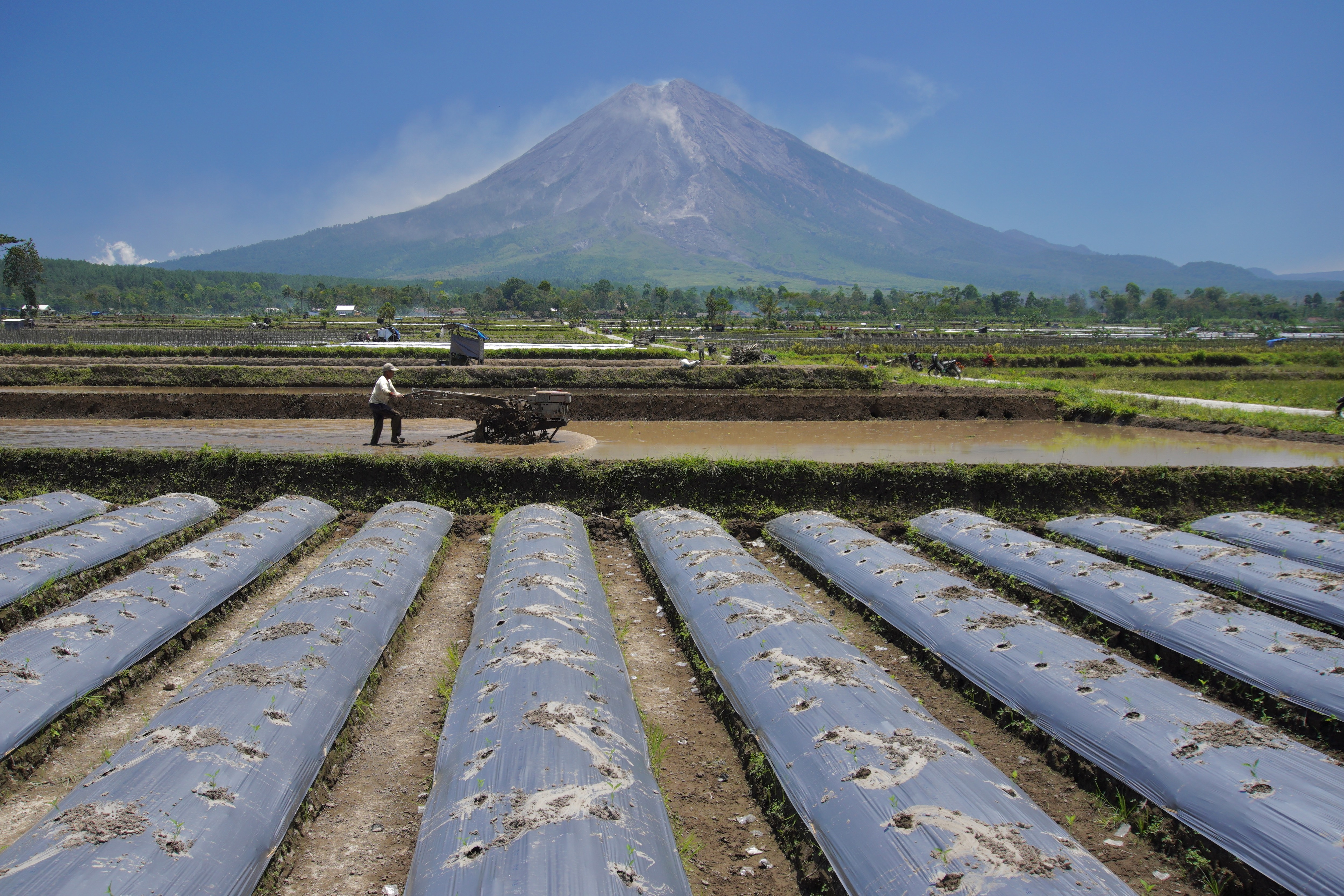 BMKG Tingkatkan Literasi Iklim Guna Cegah Krisis Pangan
