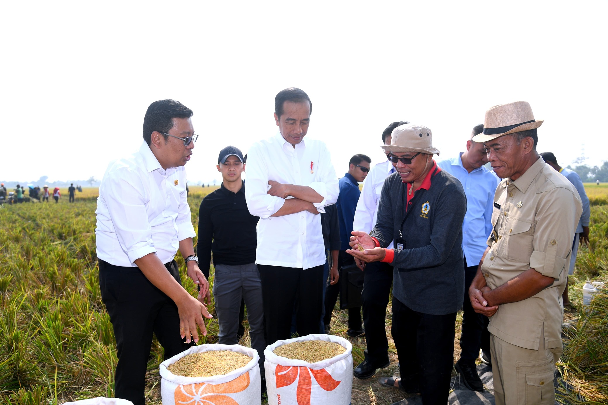 Presiden Jokowi saat mengikuti panen raya padi di Desa Ciasem Girang, Kabupaten Subang, Jawa Barat.