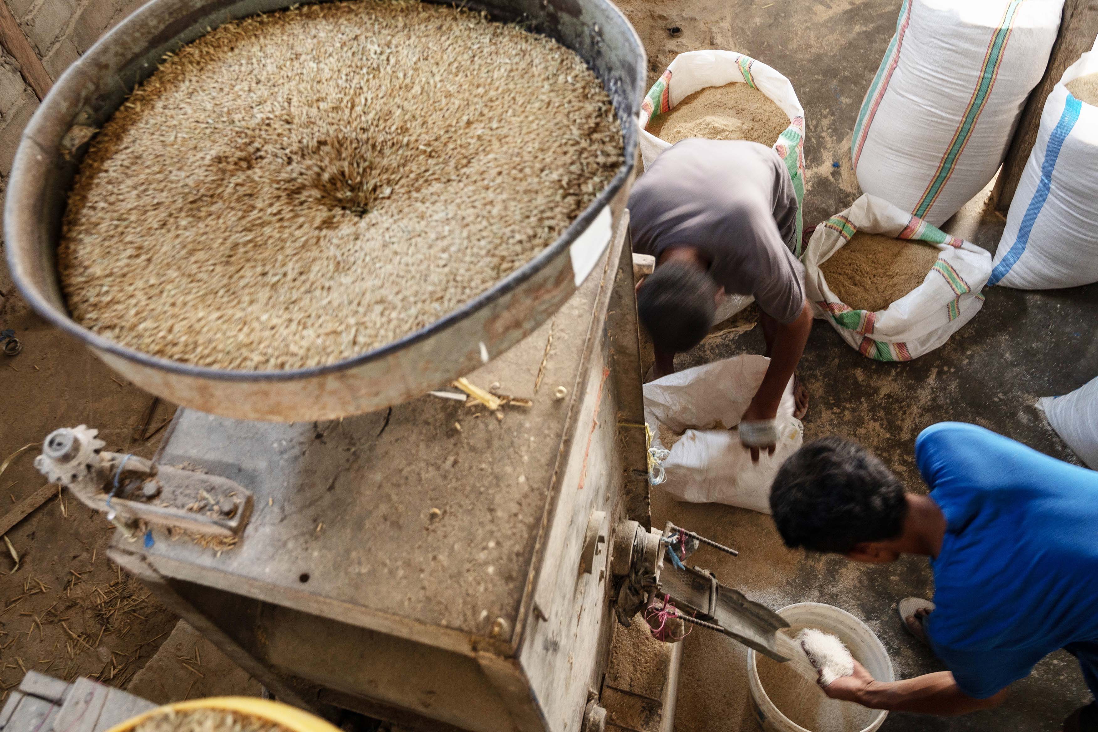 Pekerja menggiling padi di salah satu usaha penggilingan padi di Desa Kaleke, Sigi, Sulawesi Tengah, Sabtu (2/9).