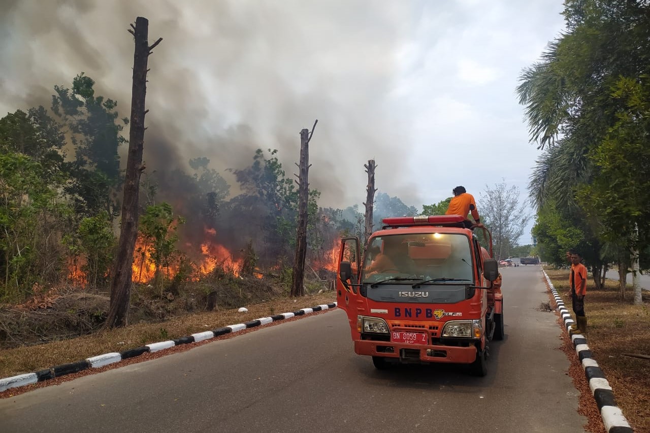 Api Lalap Lima Hektare Lahan di Depan BI Babel
