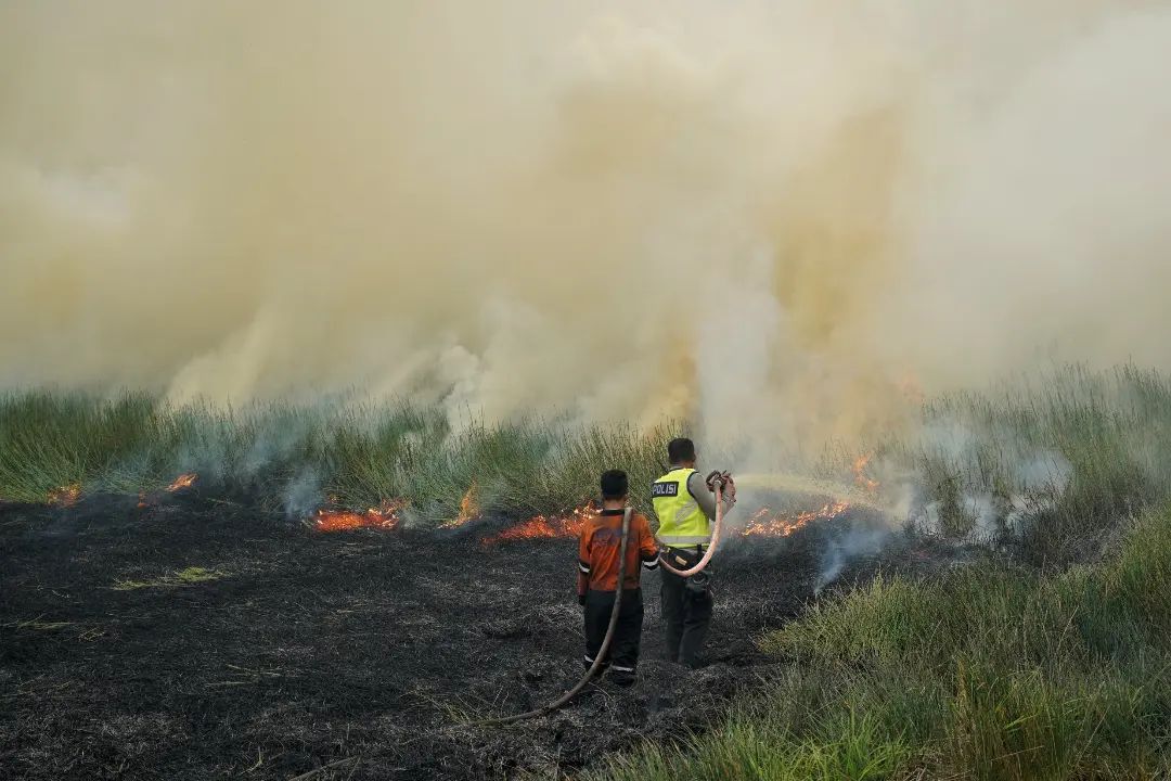 Petugas berusaha memadamkan kebakaran lahan di Ogan Ilir, Sumatera Selatan, Kamis (19/10).
