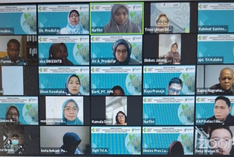 Kemenkes Dorong Pengobatan Fitofarmaka Ditanggung BPJS Kesehatan