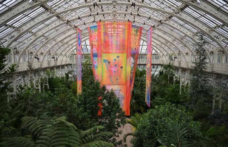 Peneliti Kew Gardens London mengungkapkan masih ada jutaan spesies tanaman dan jamur yang belum teridentifikasi dan terancam punah.