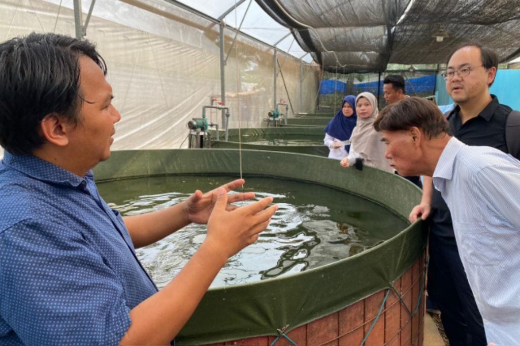Gandeng EPIS Korea Selatan, Kementan Kembangkan 'Smart Green House'