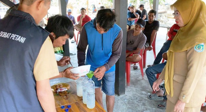 Kegiatan pelatihan pembuatan bakteri fotosintesis diikuti petani CSA di Kecamatan Watang Sawitto, Kabupaten Pinrang, Sulsel.