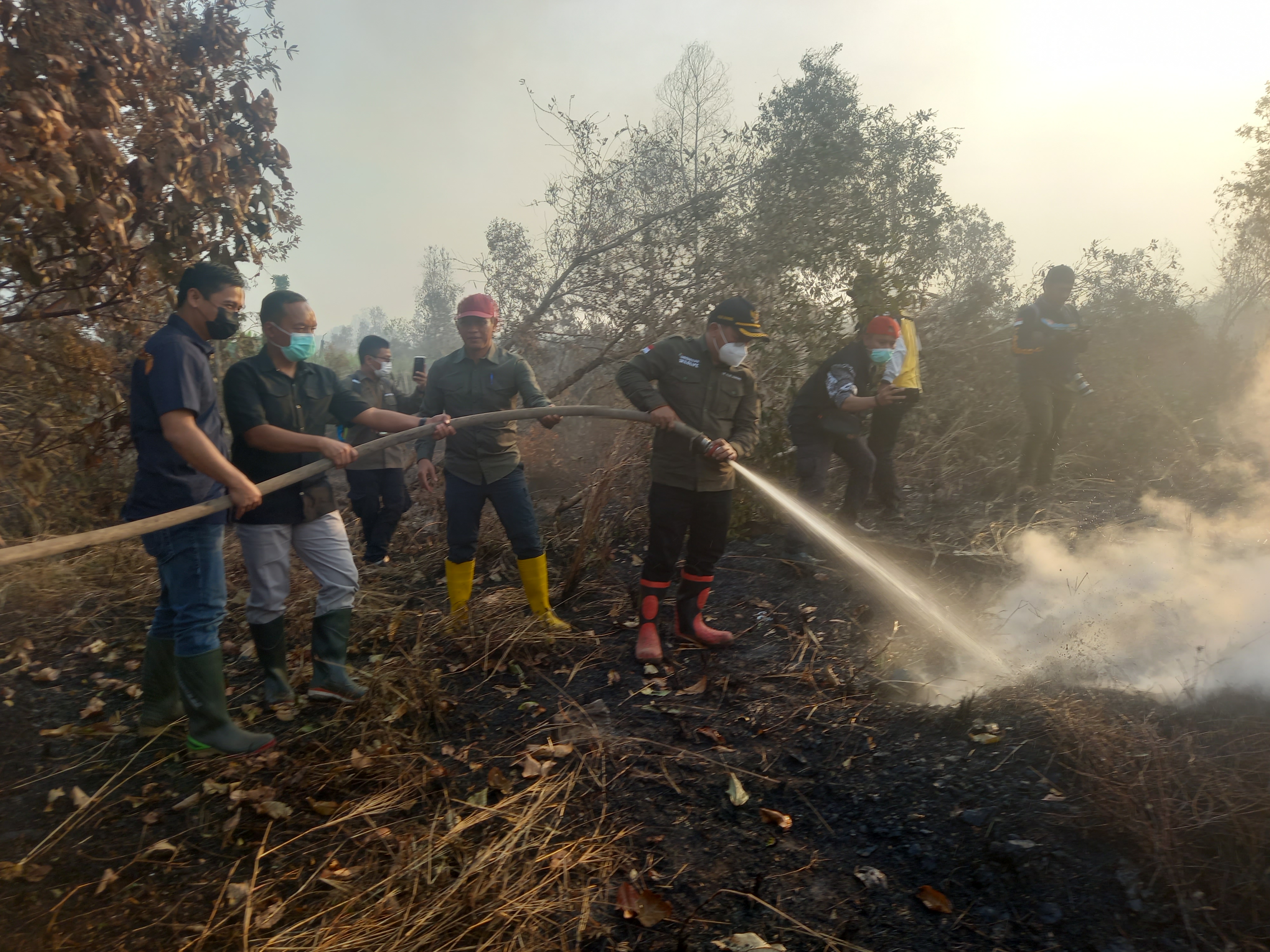 Kementerian LHK Turun Langsung Tangani Karhutla di Kalsel