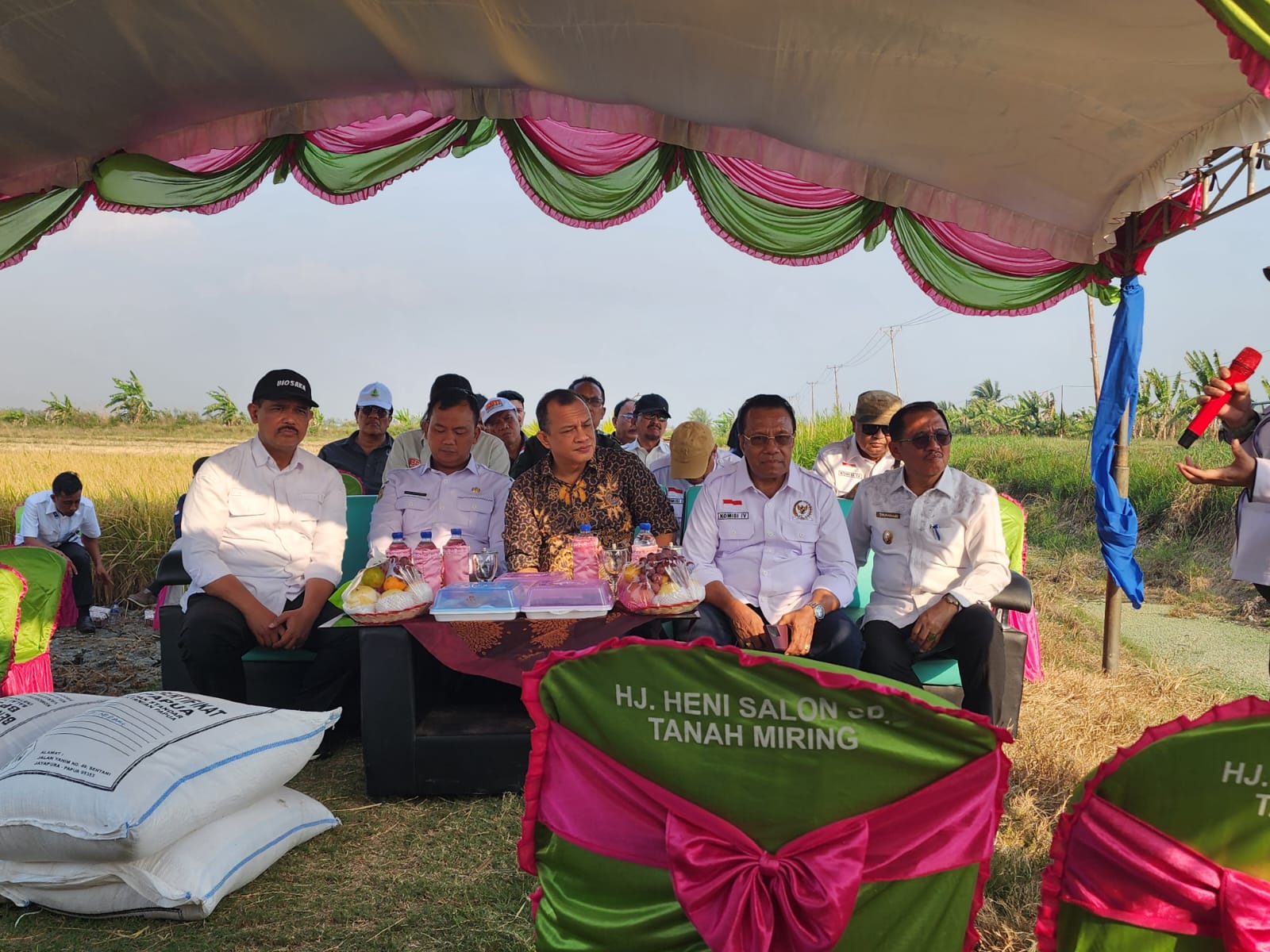  Kegiatan panen raya di Kampung Waningapmiraf (SP 5), Distrik Tanah Miring, Kabupaten Merauke, Papua Selatan, Rabu (4/10/2023).