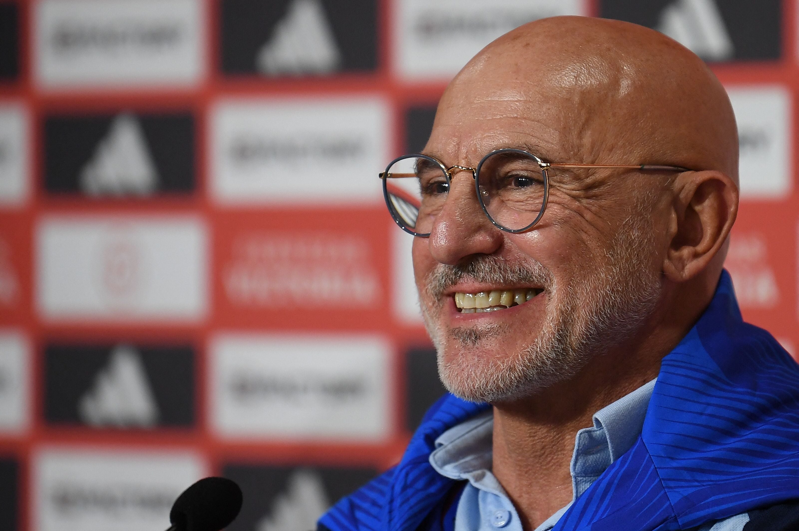 Pelatih timnas Spanyol Luis de la Fuente