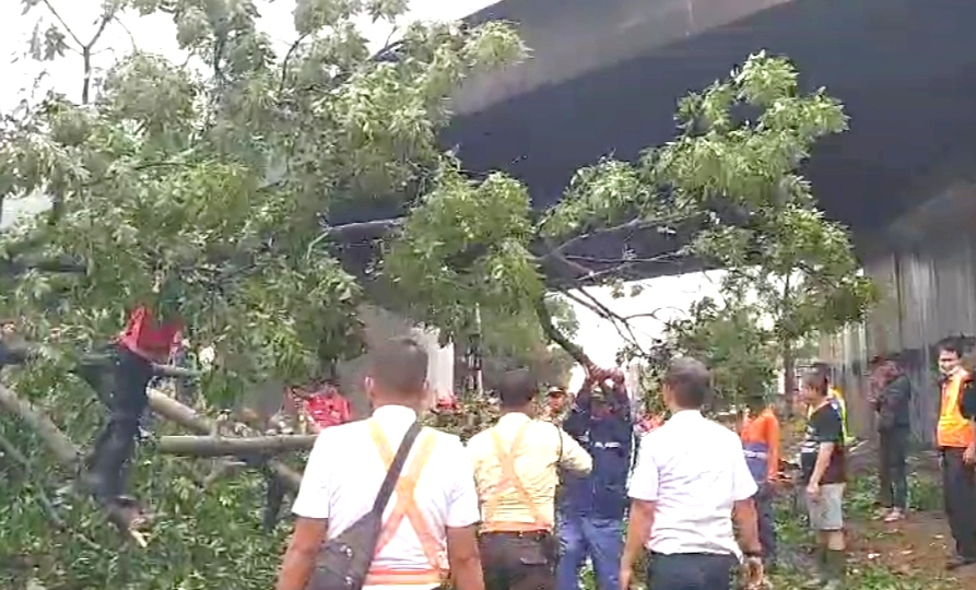 Sejumlah pohon tumbang dan merusak sejumlah rumah, saat angin kencang melanda wilayah Kota Cimahi, Jawa Barat