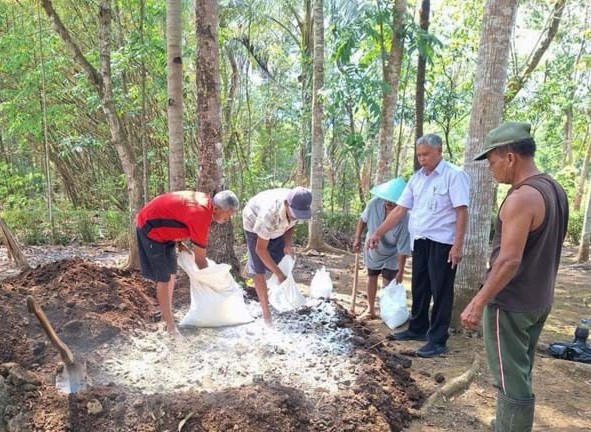 Kelompok petani Maju Rukun melakukan replikasi pembuatan pupuk organik padat di Purworejo, Jawa Tengah.