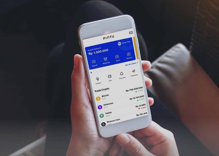Aplikasi PINTU pada layar telepon selular.  