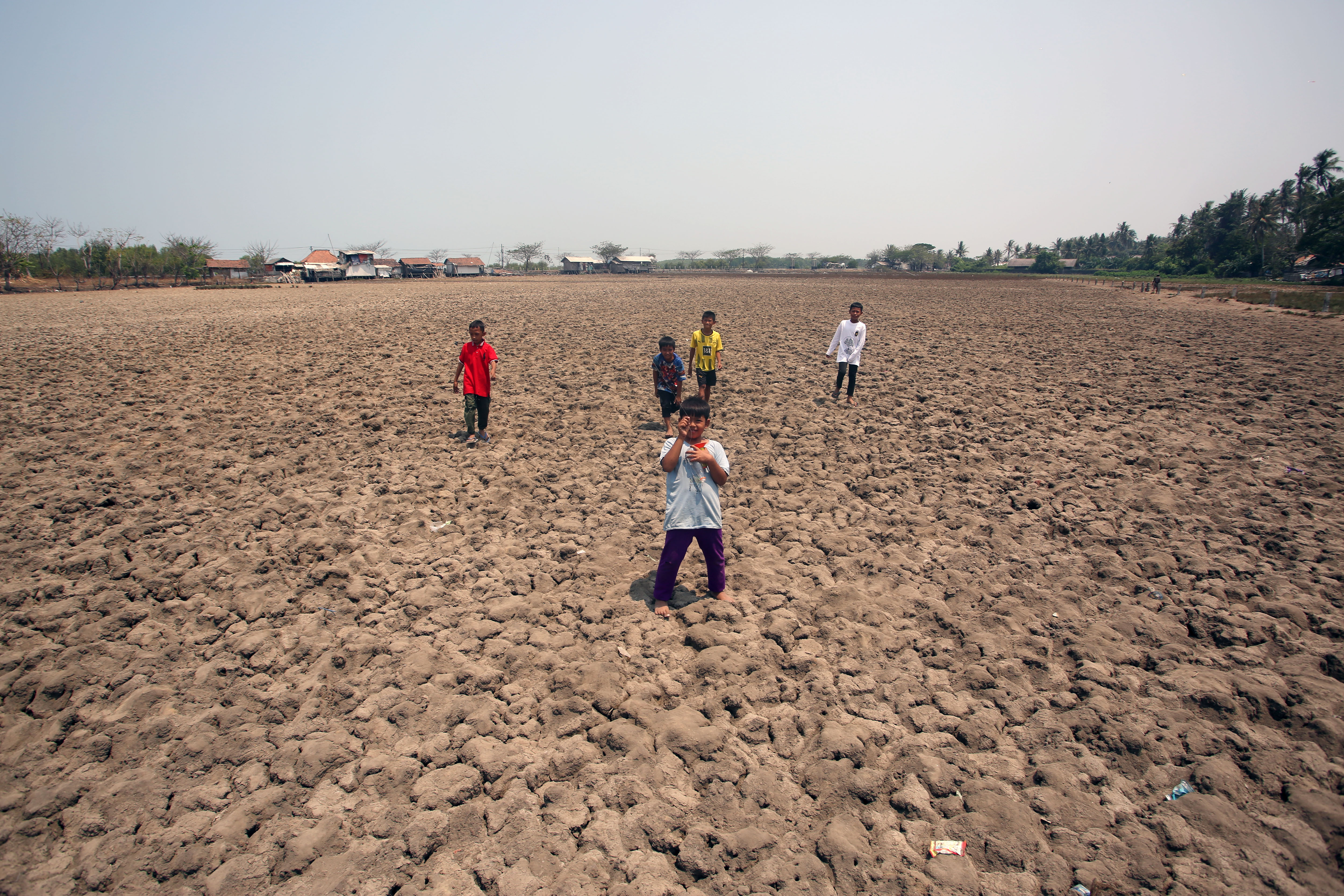 Anak-anak bermain di tengah sawah yang mengalami kekeringan