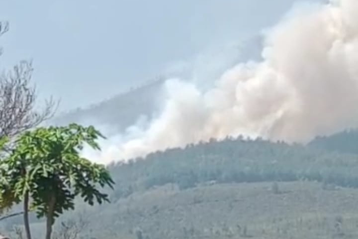 Polisi Selidiki Penyebab Karhutla di Gunung Lawu