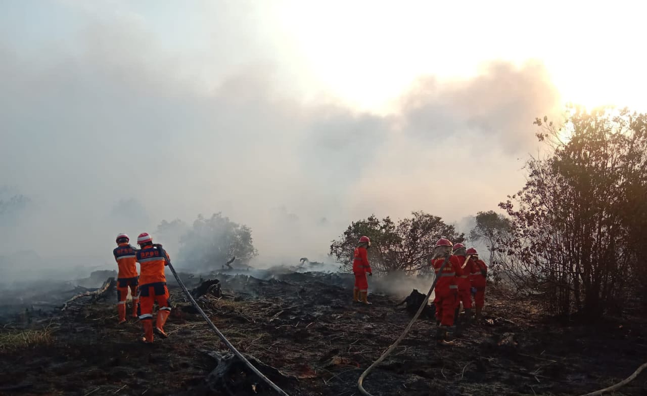 Tim Manggala Agni dan perusahaan memadamkan api di lokasi kebakaran lahan hutan di Sumsel.