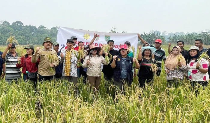 Kementan menggelar Sekolah Lapang di Kabupaten Barito Selatan, Kalimantan Selatan.
