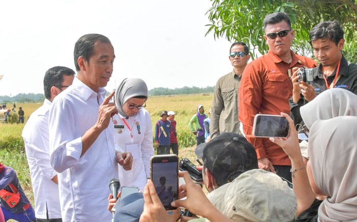 Presiden Akui Sistem Irigasi Lokasi CSA Indramayu Tingkatkan Produktivitas Padi