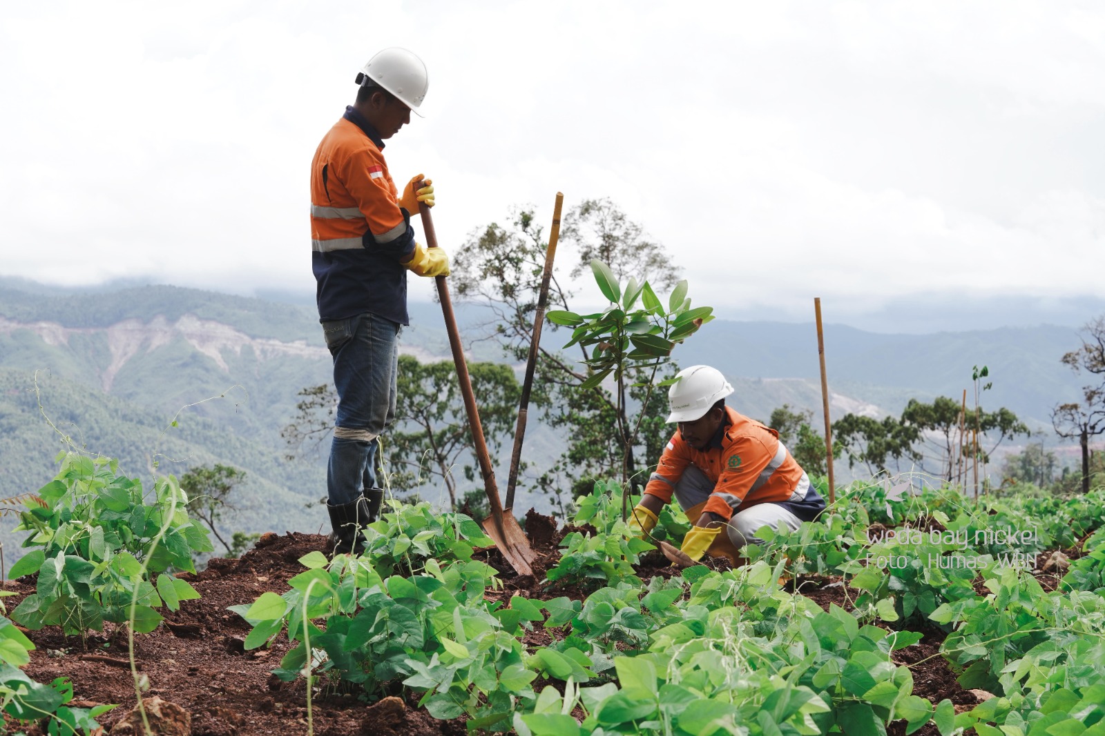 Aktivitas pekerja PT Weda Bay Nickel.