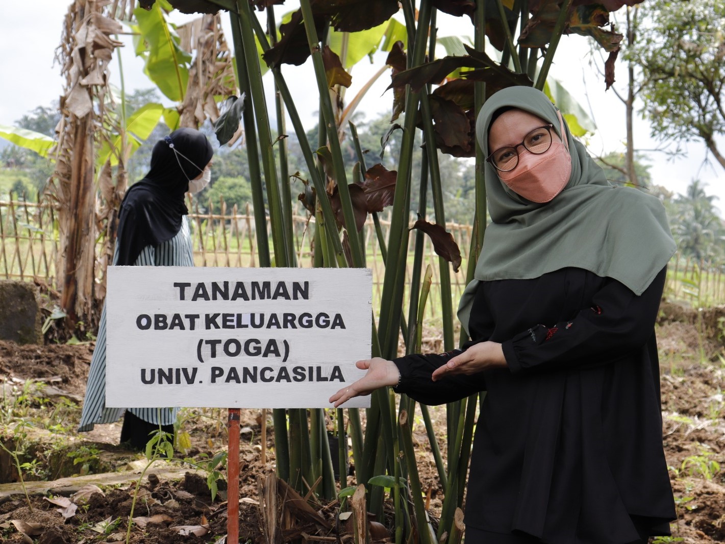 FFUP Dorong Pemanfaatan Tanaman Obat Keluarga untuk Cegah Stunting 