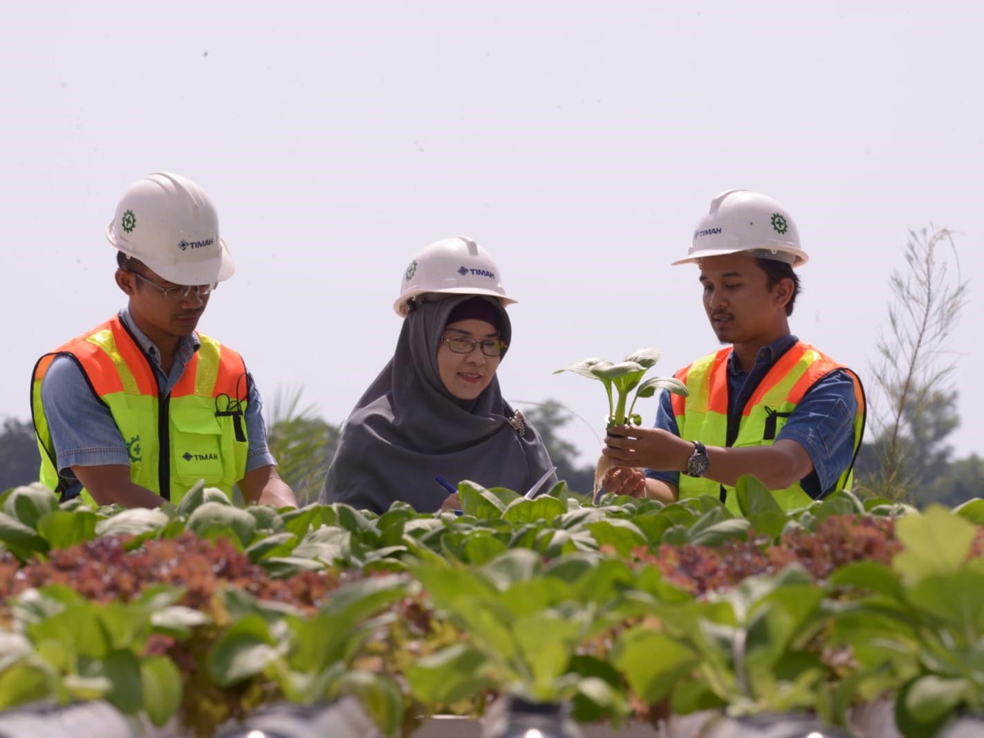 Reklamasi Area Bekas Tambang Mind Id di Berbagai Daerah