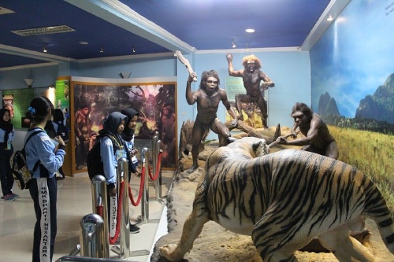 Para siswa sedang mengamati salah satu diorama manusia purba di Museum Sangiran, Sragen, Jawa Tengah.